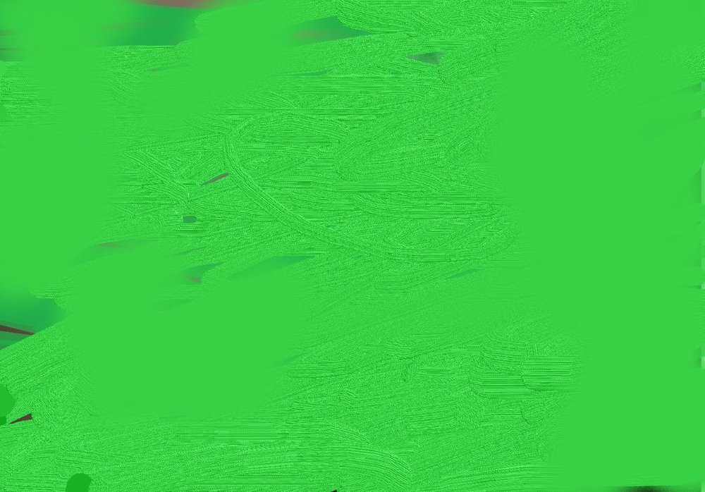 renata-litvinova-73434514 — копия.jpg