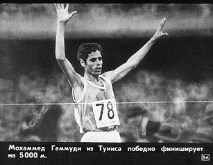 1361814303_56.jpg