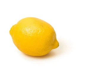 lemon-na-hydroponike-main (1).jpg