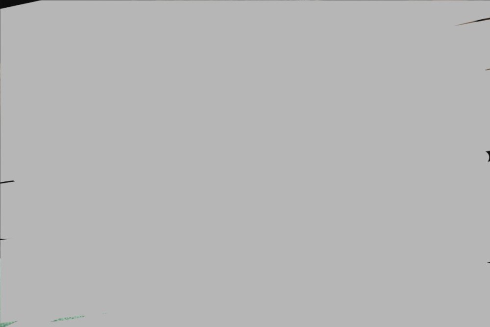 сыроежкины — копия.jpg