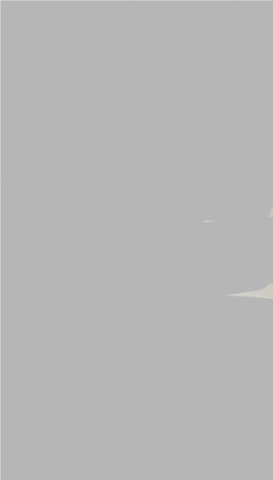 алеся — копия.jpg