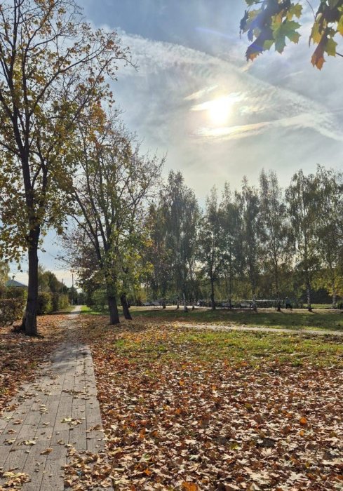 Изображение WhatsApp 2025-10-23 в 10.36.00_36231e98.jpg